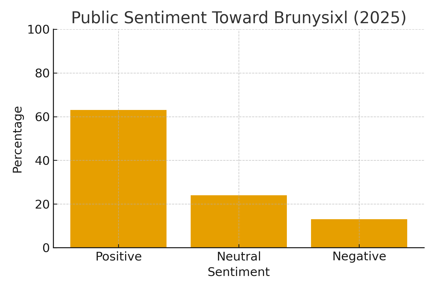 Bar graph showing public sentiment toward Brunysixl in 2025: 63% positive, 24% neutral, 13% negative.