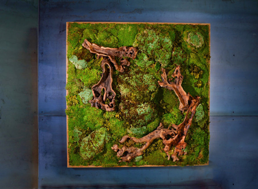 Decobry: 7 Amazing Benefits of This Ultimate Decor Trend